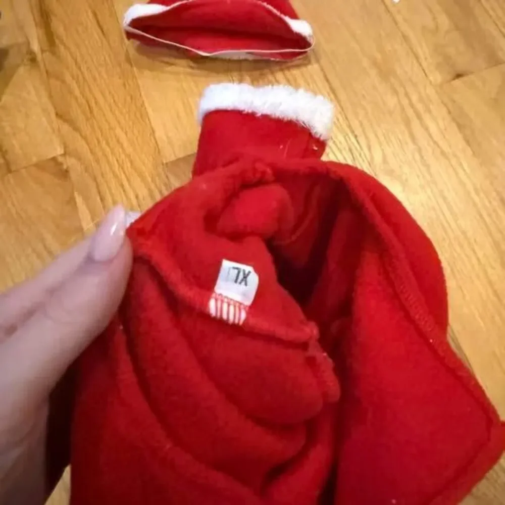 Santa Pet Costume with Hat